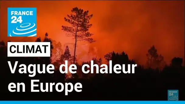 Vague de chaleur en Europe : jusqu'à 44 degrés au Portugal • FRANCE 24