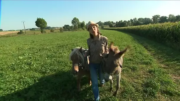 Portrait de la ferme des Recollets, ses fromages et ses médailles d'or