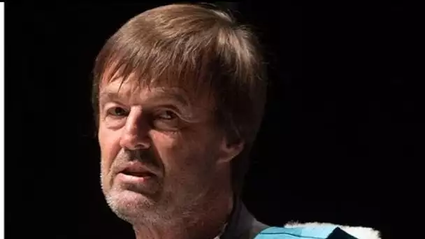 Elise Lucet passe un coup de fil en plein "Envoyé Spécial" à Nicolas Hulot au sujet...