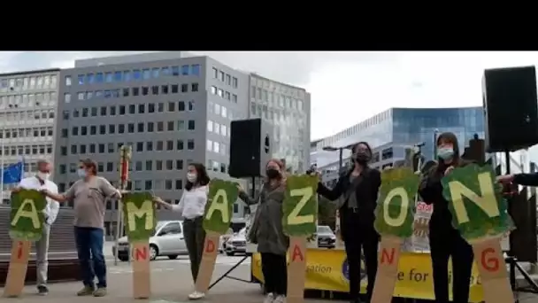 Rassemblement à Bruxelles pour protester contre la destruction de la forêt amazonienne