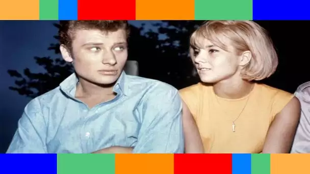 Johnny Hallyday  un deuxième enfant avec Sylvie Vartan  On aurait aimé