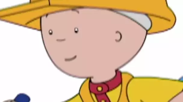 ⛔ Caillou en Français - Caillou le constructeur de routes | PLUS QU'UNE HEURE COMPLÈTE DE CAILLOU HD