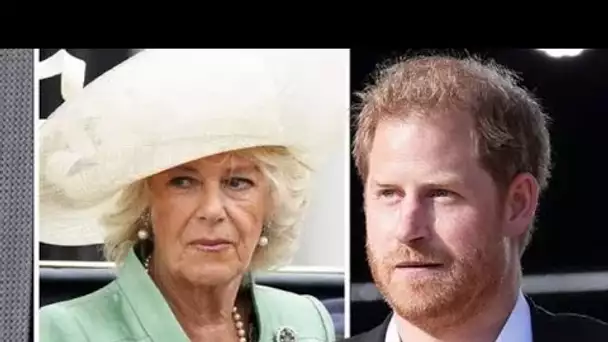 Royal Family LIVE: le prince Harry accusé d'avoir snobé Camilla tout en honorant l'héritage de Diana