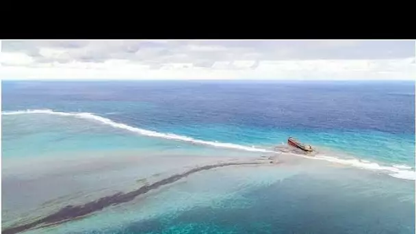 Marée noire à l'île Maurice : 20 mois de prison pour les responsables de la pollution maritime