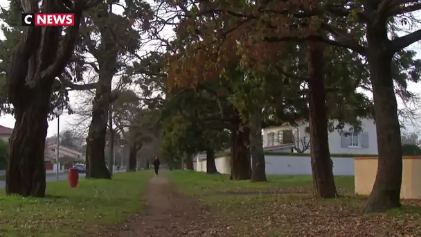 C’est la saison pour planter des arbres