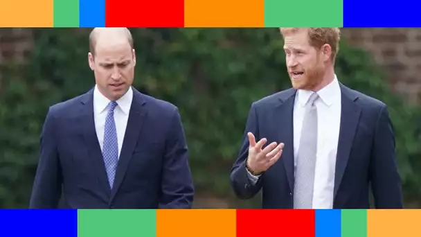 Hommage de William à Lady Di  le prince Harry a t il fait discrètement le déplacement