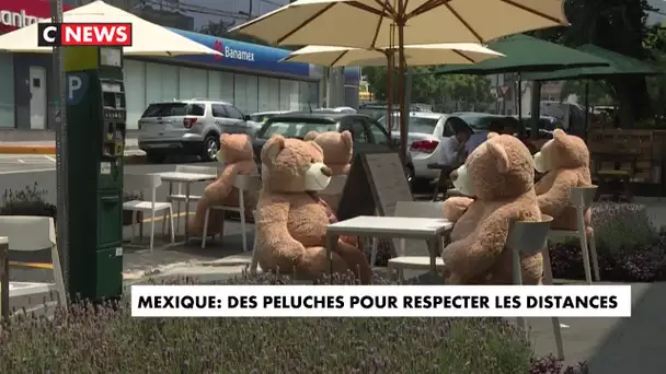 Mexique : maintenir les distance... grâce à des ours en peluche