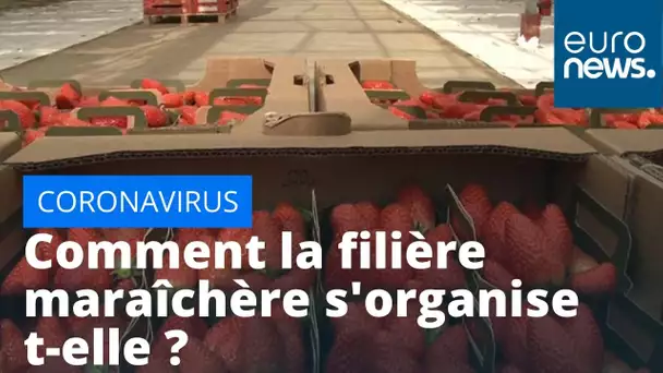 Coronavirus : la filière maraîchère est aussi à la peine