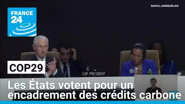 Cop29 : les États votent pour un encadrement des crédits carbone • FRANCE 24