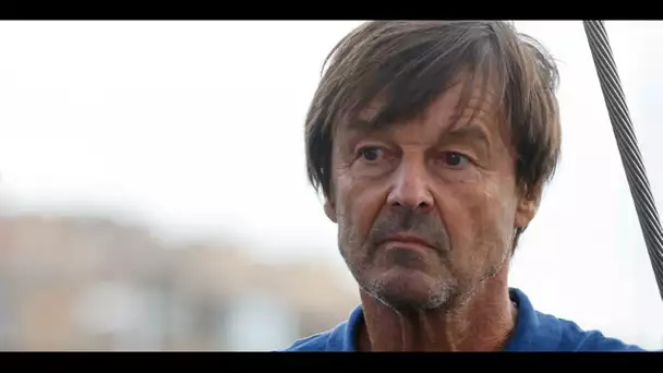 Accusé de viol, Nicolas Hulot quitte la vie publique