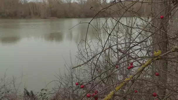 Idée de sorties dans le Loiret : les étangs d'Amilly