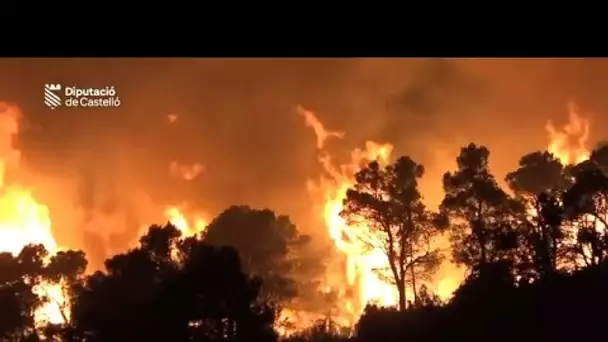 Espagne : premier feu de forêt majeur de la saison, déjà 4 000 hectares brûlés