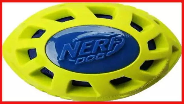 Nerf Dog 6in Foam TPR/Exo Elite Squeak Crunch Football – Blue/Green