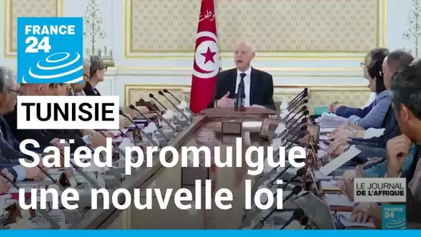 Tunisie : Kaïs Saïed promulgue une nouvelle loi électorale • FRANCE 24