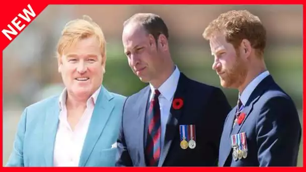 Harry et William  qui est ce « grand frère » qui tente de les rabibocher