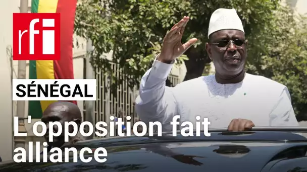 Sénégal : Une candidature et une liste unique peuvent-elles ressortir de cette alliance ? • RFI