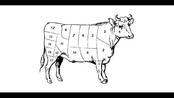 La recette du bœuf-miroton