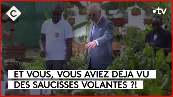 Avez-vous déjà vu des saucisses volantes ? - L’ABC - C à Vous - 31/10/2023