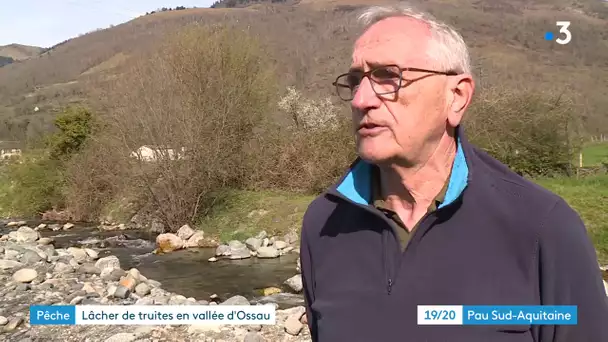 Lâcher de Truites en Vallée d'Ossau, ouverture 2021