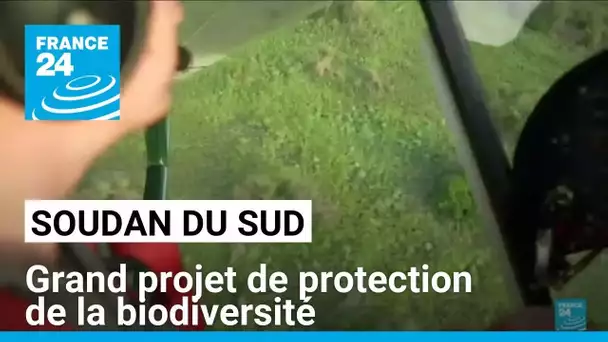 Soudan du Sud : grand projet de protection de la biodiversité • FRANCE 24