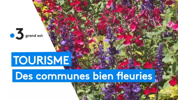 Tourisme : les communes à la conquête des fleurs