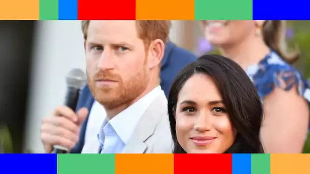 Harry et Meghan  les Sussex grands absents de la fête du prince William en hommage à Diana