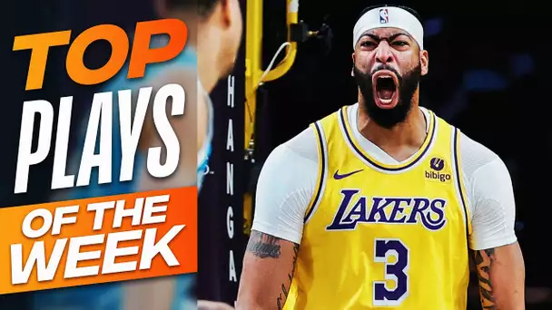 NBA's Top Plays of Week 10 | 2023-24 Season