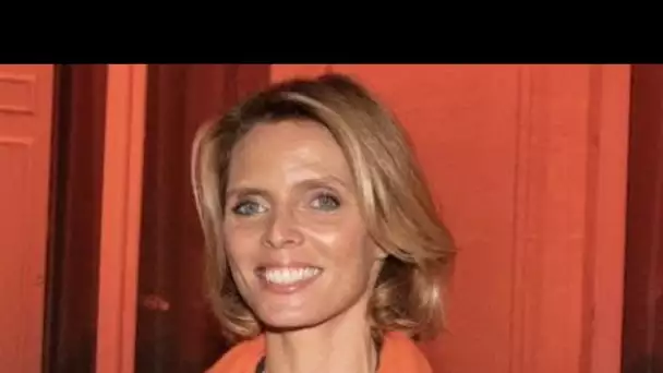 PHOTO Sylvie Tellier cette particularité physique qui intrigue et amuse les internautes