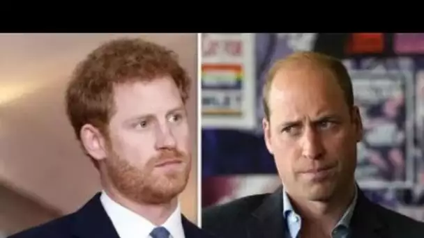 L'anniversaire poignant que le prince William et le prince Harry célèbrent aujourd'hui