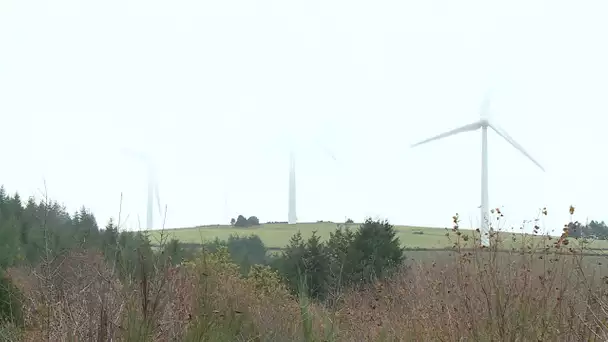 Tarn : leur vie vire au cauchemar à cause d'éoliennes trop bruyantes