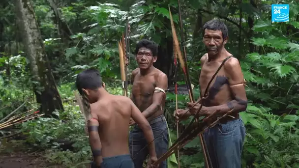 Les Uru-Eu-Wau-Wau sur le pied de guerre pour leur forêt