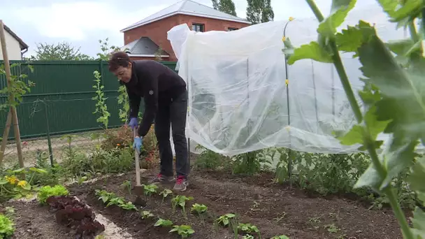 Dans le Loiret, mon jardin au naturel