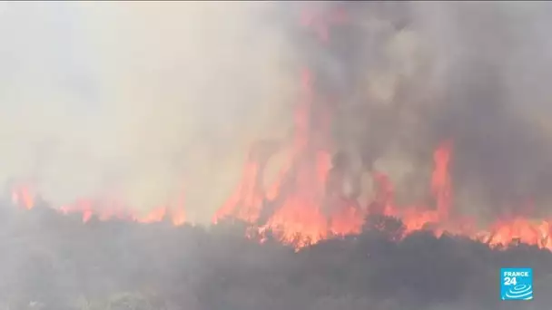 Incendies en Algérie : au moins 69 morts en Kabylie, deuil national de trois jours • FRANCE 24