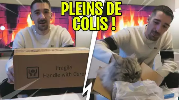 J'AI RECU PLEINS DE COLIS AVANT NOEL ! ET VOUS AUSSI ! (FEAT MON CHAT)