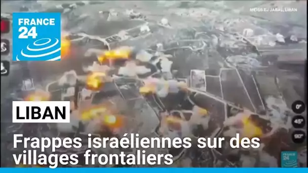 Liban : frappes israéliennes sur des villages frontaliers • FRANCE 24