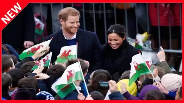 ✅  Meghan Markle et Harry encore épinglés pour leur engagement écologique très variable