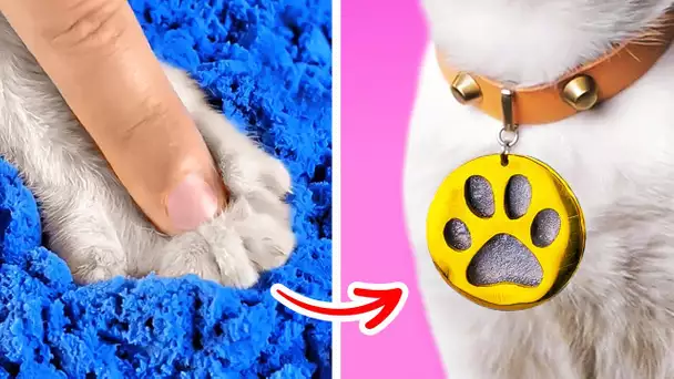 Des gadgets pour chiens et des bricolages pour chats dont vous serez reconnaissants