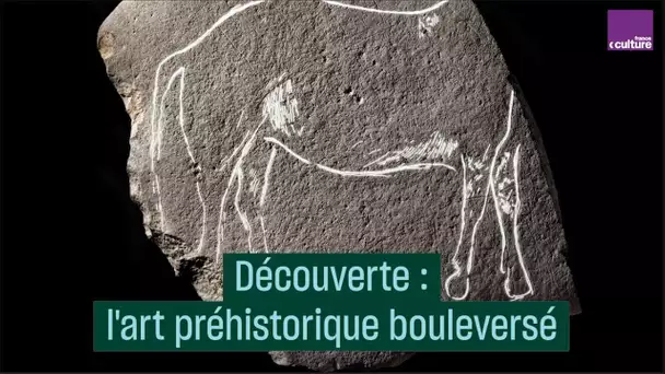 Découverte : l&#039;art préhistorique bouleversé - #CulturePrime