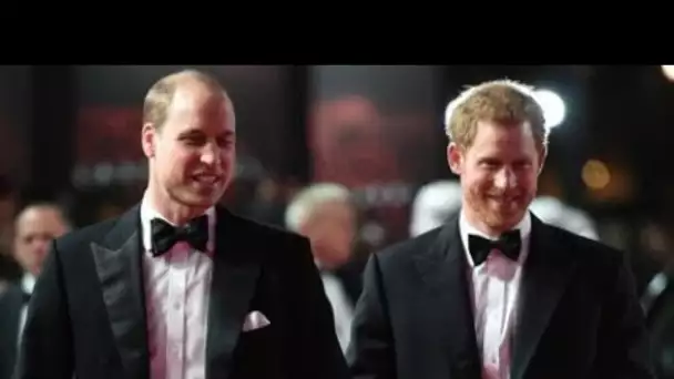 William et Harry réconciliés ? Cette décision inattendue pour Noël