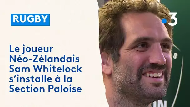 Section Paloise, présentation de Sam Whitelock 2023