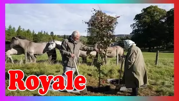 Planter un arbre pour commémorer les victimes de la pandémie, invite le prince Charles