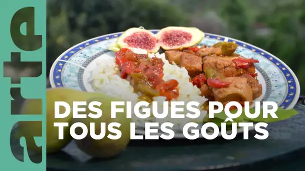 L’île d’Eubée, Grèce | Cuisines des terroirs | ARTE Family