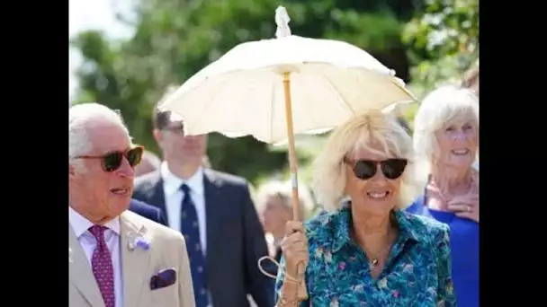 PHOTO – Première apparition de Charles et Camilla après l'annonce choc de Harry