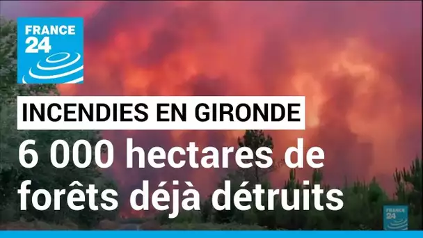 Reprises d'incendies en Gironde : 6 000 hectares de forêts déjà détruits • FRANCE 24