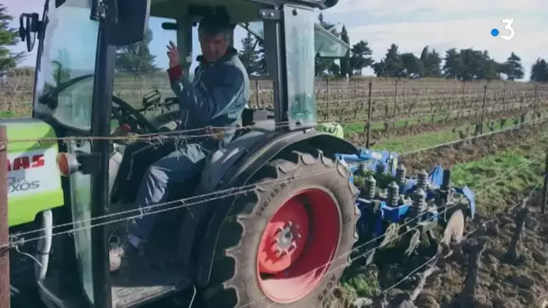 Rencontre avec Frédéric Hugues compagnon viticulteur à Maguelone, au sud de Montpellier