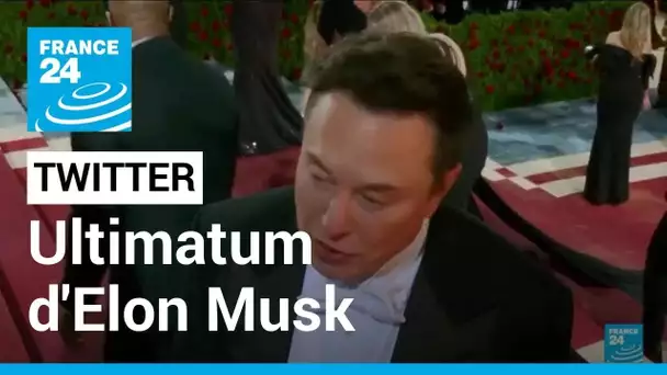 Vagues de départs chez Twitter : l'ultimatum de Elon Musk, "se donner à fond ou partir"