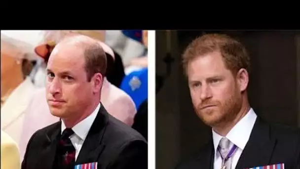 L'avenir du prince Harry est en jeu alors que Duke commence à « regretter » d'avoir attaqué la socié