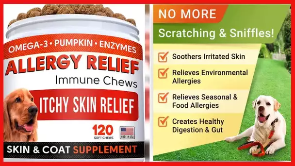 Allergy Relief Dog Treats w/ Omega 3 + Pumpkin + Enzymes + Turmeric - Itchy Skin Relief - Immune