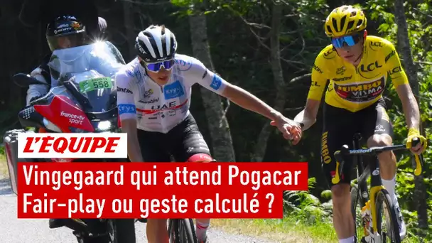 Vingegaard qui attend Pogacar après sa chute : geste fair-play ou calculé ?