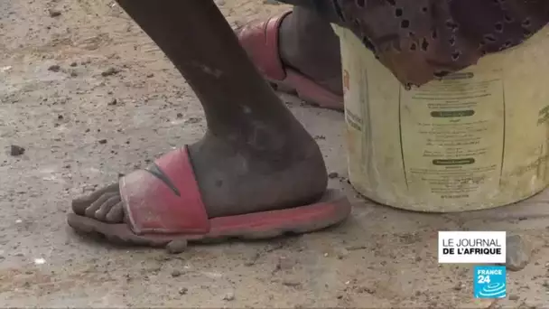 Enfants talibés au Sénégal : la passivité des autorités pointée du doigt